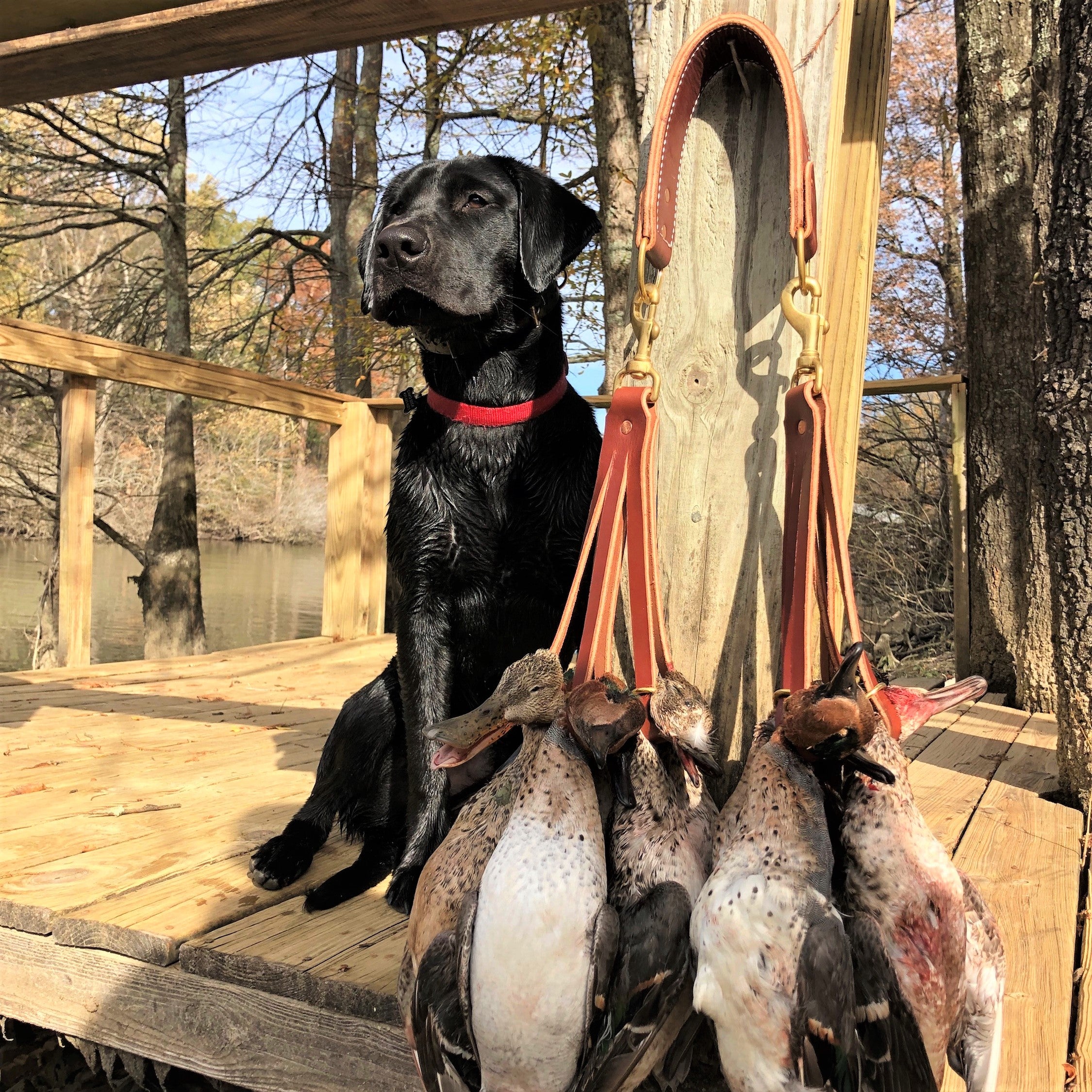 Duck Carrier (12 hangers)